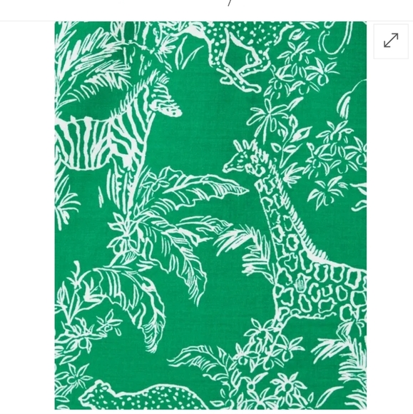 Lilly Pulitzer Kentlee Puff Sleeve Cotton Dress In Fiddle Leaf Safari Size 6 - Picture 10 of 13